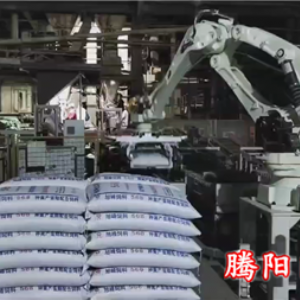 不用人工來(lái)回搬運(yùn)伸縮式輸送機(jī)和碼垛機(jī)器人完成卸車碼垛省去多個(gè)人工