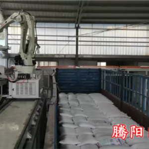 全自動(dòng)裝車機(jī)械手為生產(chǎn)加工型企業(yè)提供志能化裝車解決方案