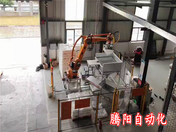 塑料粒子拆包投料機器人