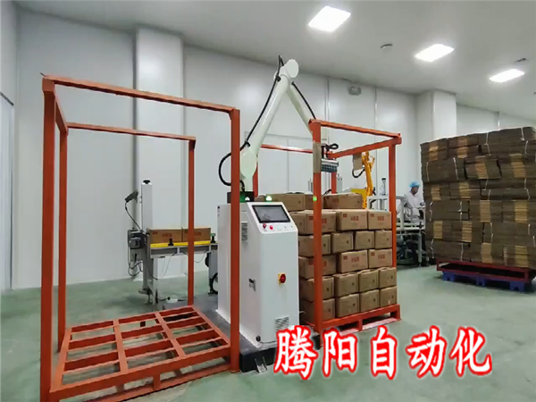 箱裝食品協(xié)作碼垛機器人